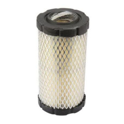 Filtre à air BRIGGS & STRATTON 793569