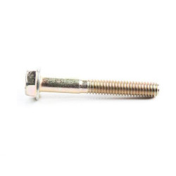 Vis BRIGGS & STRATTON 791130