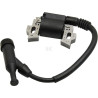 Magnéto d'allumage BRIGGS & STRATTON 797343WM