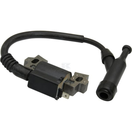 Magnéto d'allumage BRIGGS & STRATTON 797343WM