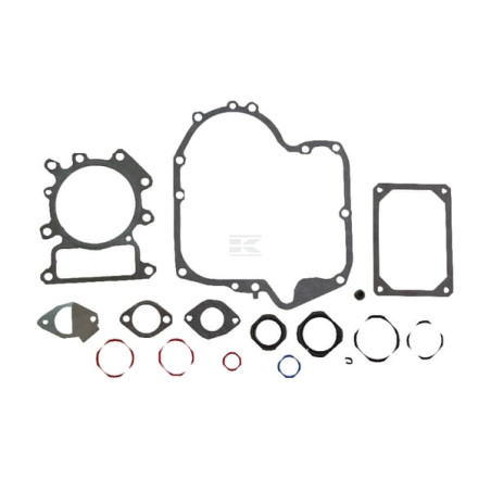 Kit BRIGGS & STRATTON 796187