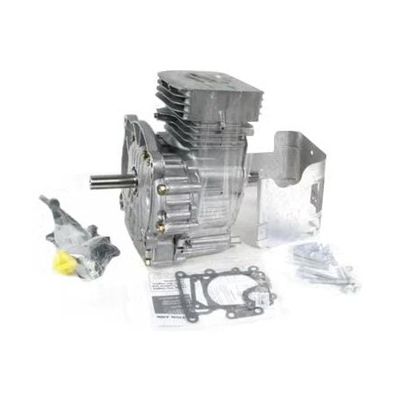 Bloc BRIGGS & STRATTON 797092A