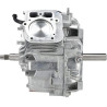 Bloc de court BRIGGS & STRATTON 797510A