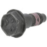 Vis BRIGGS & STRATTON 798294