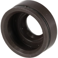 Protection BRIGGS & STRATTON 797854