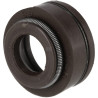 Protection BRIGGS & STRATTON 797854