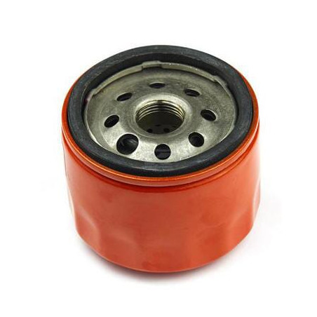 Filtre à huile BRIGGS & STRATTON 798576