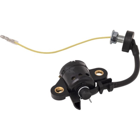 Capteur BRIGGS & STRATTON 797771