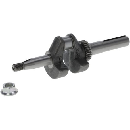Vilebrequin BRIGGS & STRATTON 797075