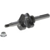 Vilebrequin BRIGGS & STRATTON 797075