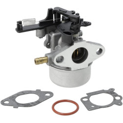 Carburateur BRIGGS & STRATTON 799447