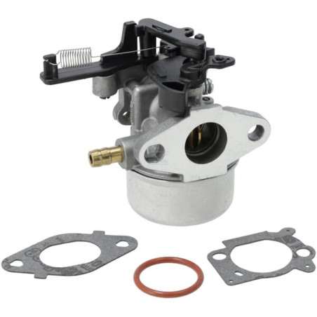 Carburateur BRIGGS & STRATTON 799447