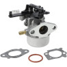 Carburateur BRIGGS & STRATTON 799447