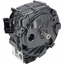 Bloc de court BRIGGS & STRATTON 799982