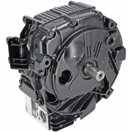 Bloc de court BRIGGS & STRATTON 799982