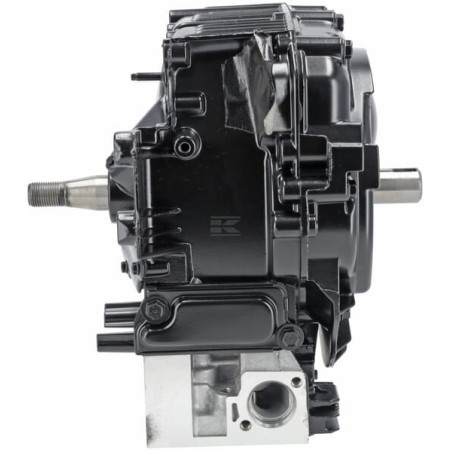 Bloc de court BRIGGS & STRATTON 799982