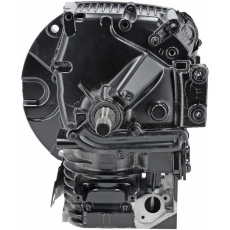Bloc de court BRIGGS & STRATTON 799982