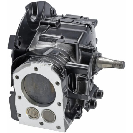 Bloc de court BRIGGS & STRATTON 799982