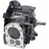 Bloc de court BRIGGS & STRATTON 799982