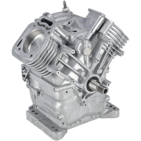 Ensemble bloc court BRIGGS & STRATTON 80083855