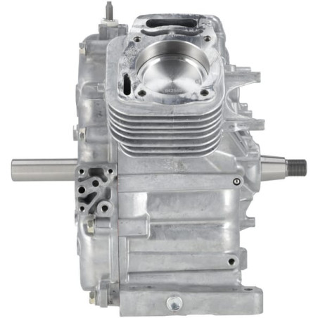 Ensemble bloc court BRIGGS & STRATTON 80083855