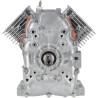 Ensemble bloc court BRIGGS & STRATTON 80083855