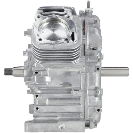 Ensemble bloc court BRIGGS & STRATTON 80083855