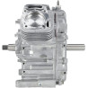 Ensemble bloc court BRIGGS & STRATTON 80083855