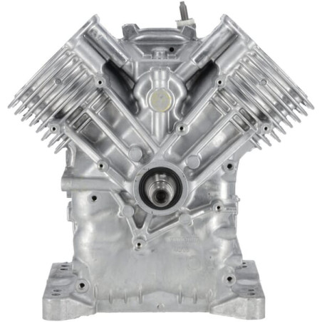 Ensemble bloc court BRIGGS & STRATTON 80083855
