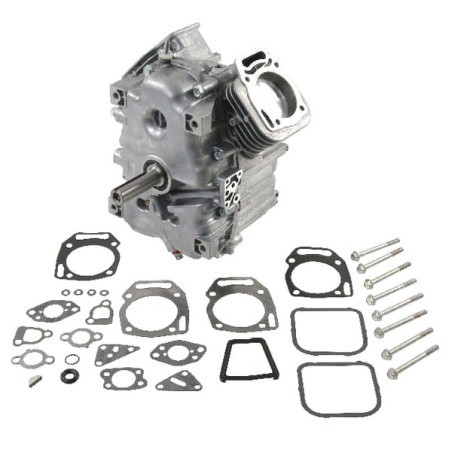 Bloc BRIGGS & STRATTON 80083862