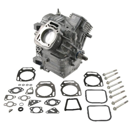 Bloc BRIGGS & STRATTON 80083862