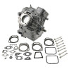 Bloc BRIGGS & STRATTON 80083862