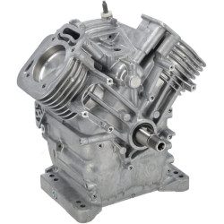 Ensemble bloc moteur BRIGGS & STRATTON 80083857