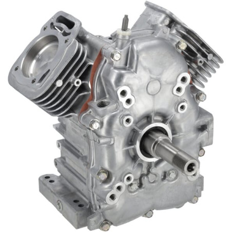 Ensemble bloc moteur BRIGGS & STRATTON 80083857