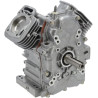 Bloc de court BRIGGS & STRATTON 80083851