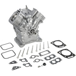 Ensemble bloc court BRIGGS & STRATTON 80085083