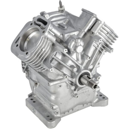 Ensemble bloc court BRIGGS & STRATTON 80085083