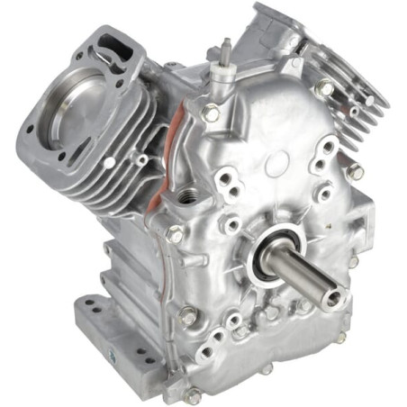 Ensemble bloc court BRIGGS & STRATTON 80085083