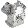 Ensemble bloc court BRIGGS & STRATTON 80085083