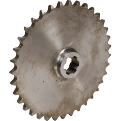 Pignon JF 812065702X