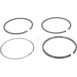 Segments de piston FPT 8099049FPT