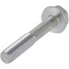 Vis BRIGGS & STRATTON 807357