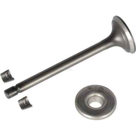 Soupape d'échappement BRIGGS & STRATTON 808687