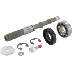 Axe de pompe STIGA 1139160601 - 1139-1606-01