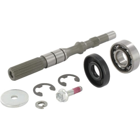 Axe de pompe STIGA 1139160601 - 1139-1606-01