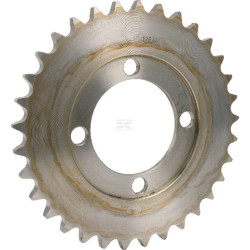 Pignon JF 812225442X