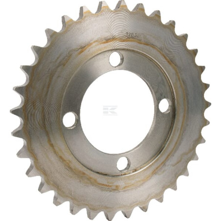 Pignon JF 812225442X
