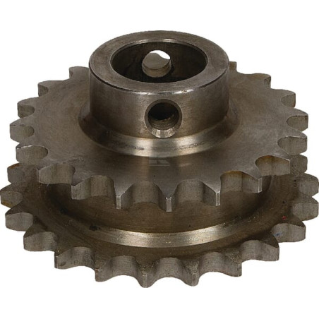 Roue dentée JF 813065170A