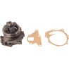 Pompe à eau UNIVERSEL 81863909KR