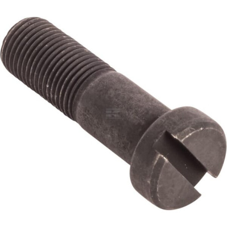 Boulon RAICO 825776M1N